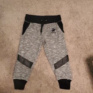 Beverly hills polo club